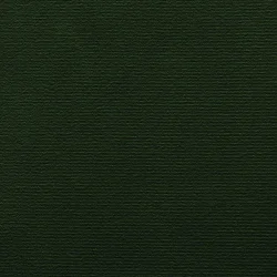 CLIVIA VELOUR 600g/m