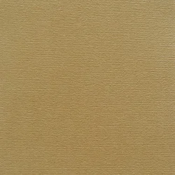 CLIVIA VELOUR 600g/m