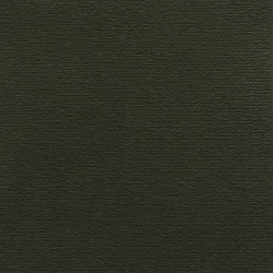 CLIVIA VELOUR 600g/m