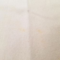 RHVID KALMUCK - projektrest